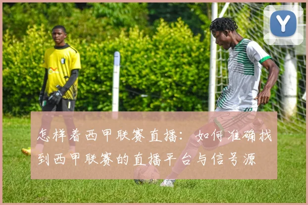 怎样着西甲联赛直播：如何准确找到西甲联赛的直播平台与信号源