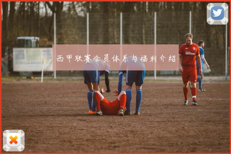 西甲联赛会员体系与福利介绍